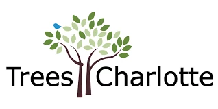 Trees Charlotte Logo Trees Charlotte Logo