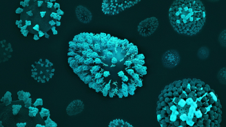 Respiratory Illnesses COVID-19, RSV, and Flu 3D renditions of three respiratory viruses: COVID-19 (left), RSV (center; oblong shape), and flu (right).
