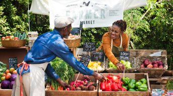 Greengrocer preparing organic fresh agricultural product at farmer market