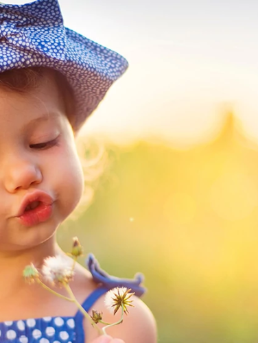 HLT IECMH Header Image