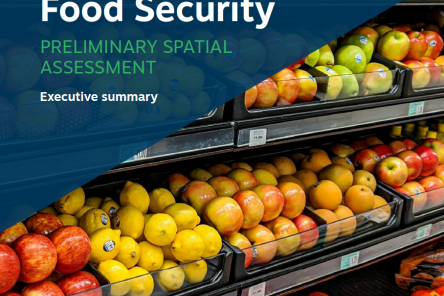 Food-Security-Executive-Summary-Cover