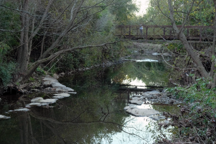 Little Sugar Creek Greenway Westfield Section